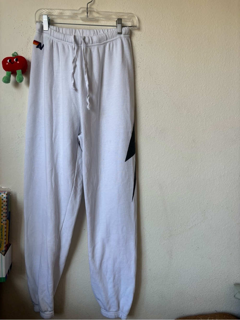 Fall/Winter Aviator Nation Sweatpants